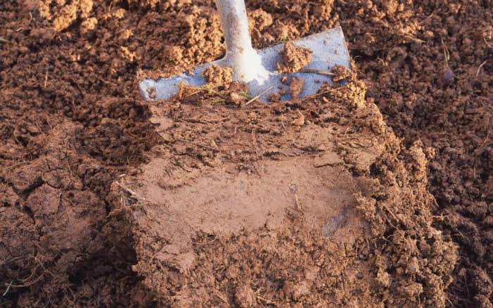 Pala clavada en suelo arcilloso rojizo mostrando la compactación del terreno