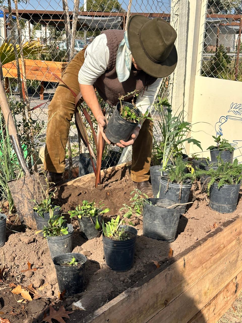 Plantando especies en cantero elevado durante el taller