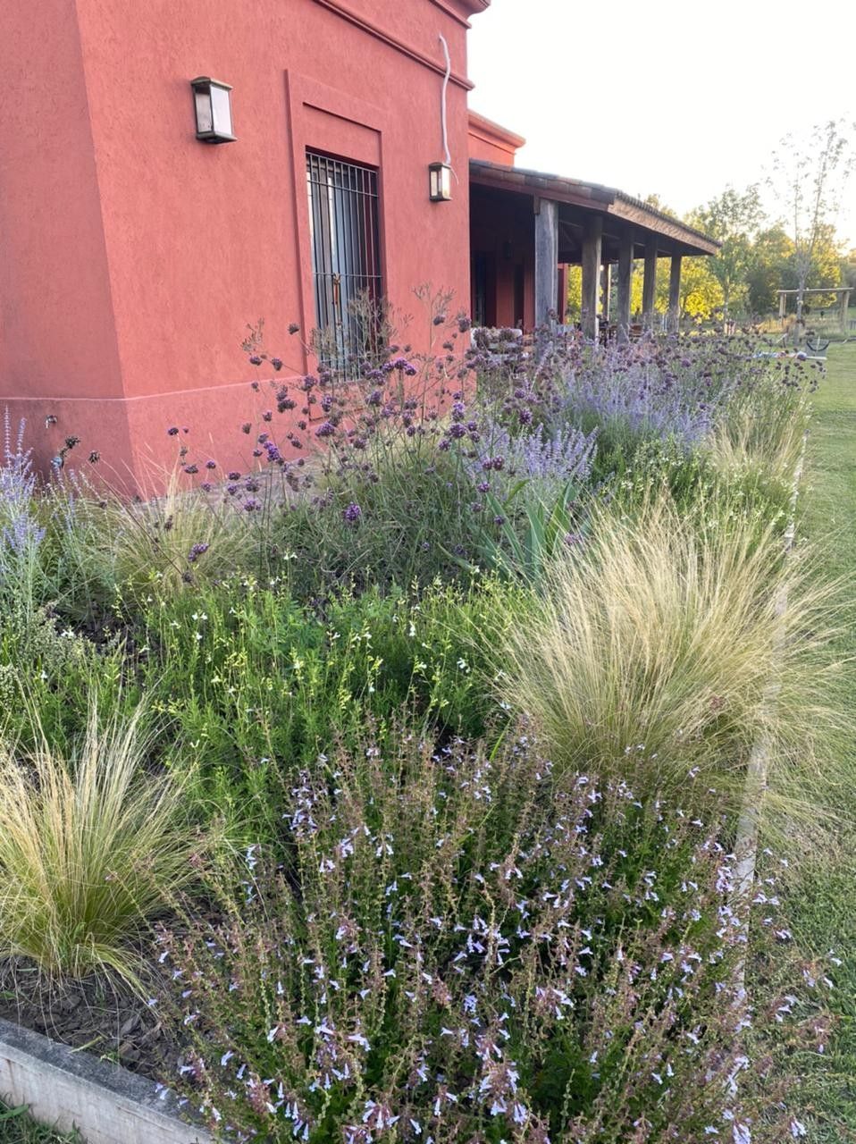 Cantero con gramíneas y flores frente a una casa de campo