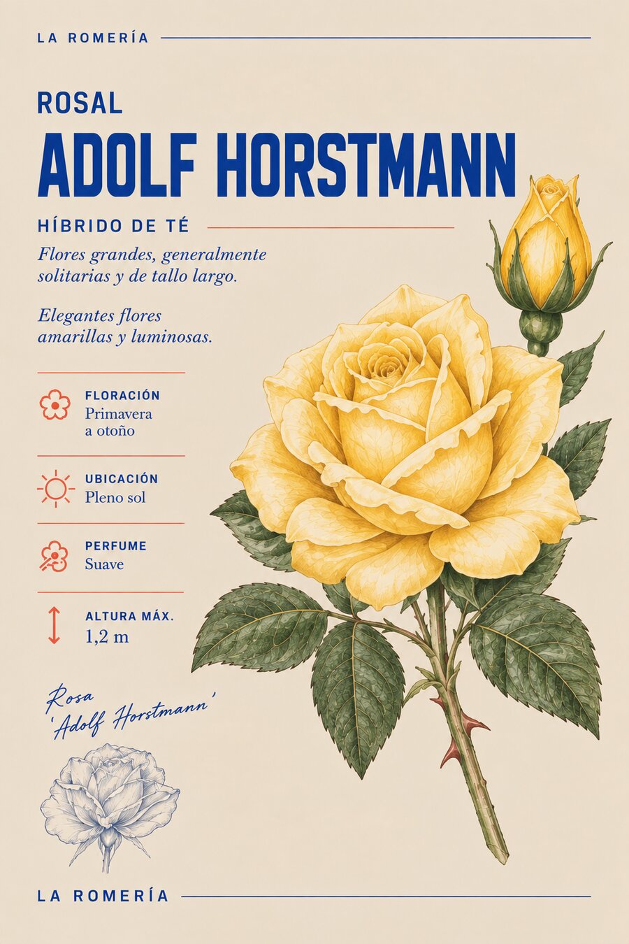 Ficha botánica del rosal Adolf Horstmann — Híbrido de té