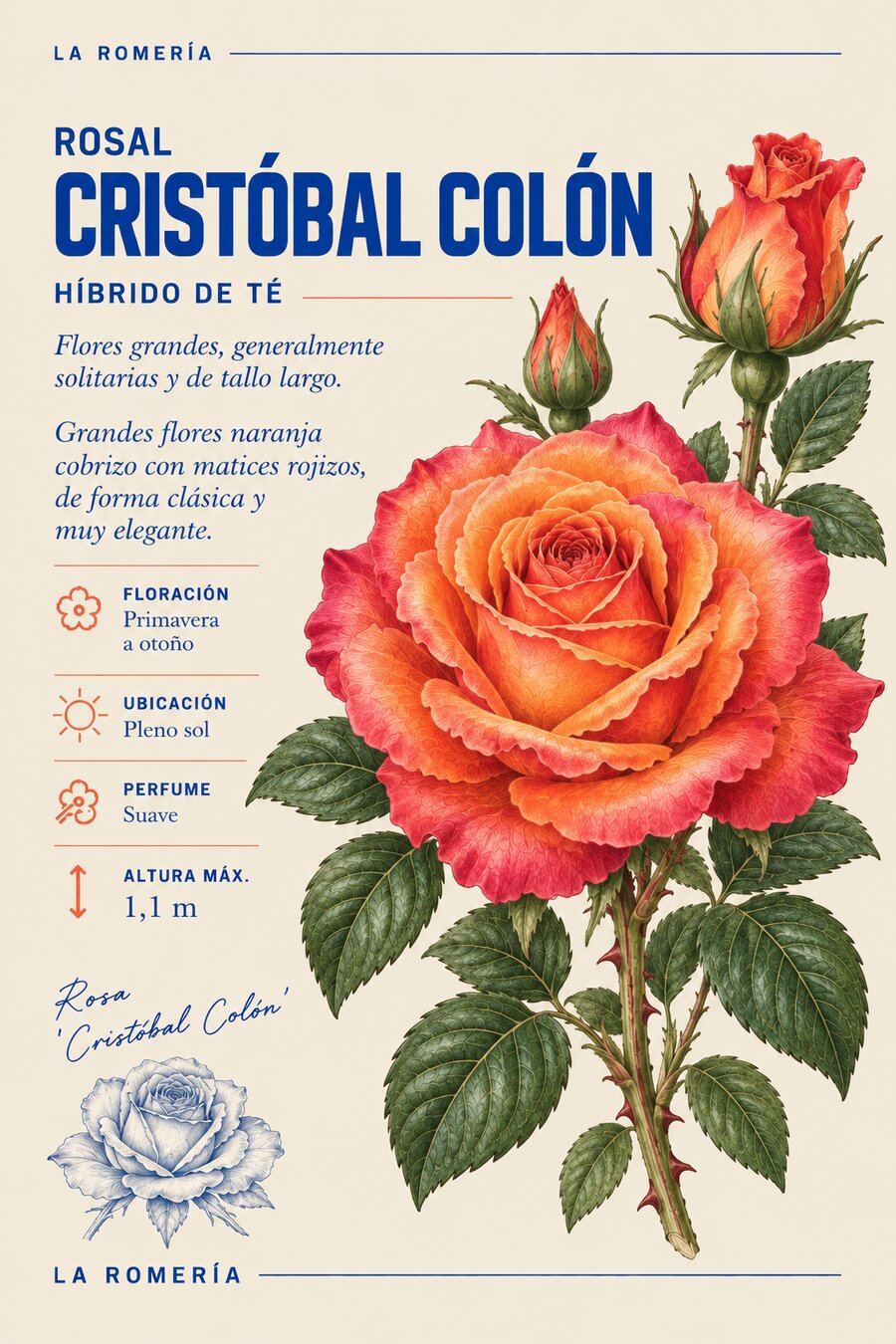 Ficha botánica del rosal Cristóbal Colón — Híbrido de té