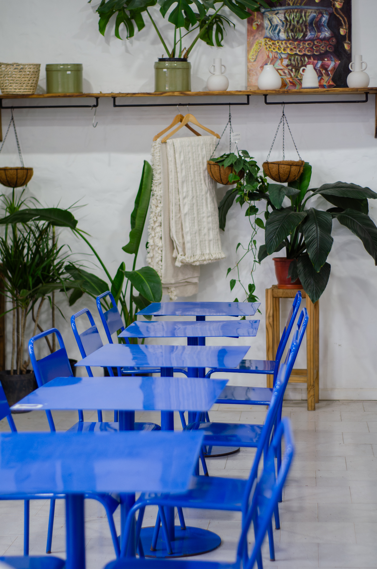 Mesa servida con café y comidas entre plantas en La Romería, Pergamino