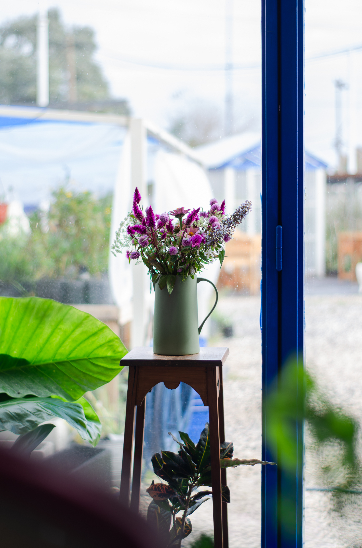 Flores junto a ventana azul del café