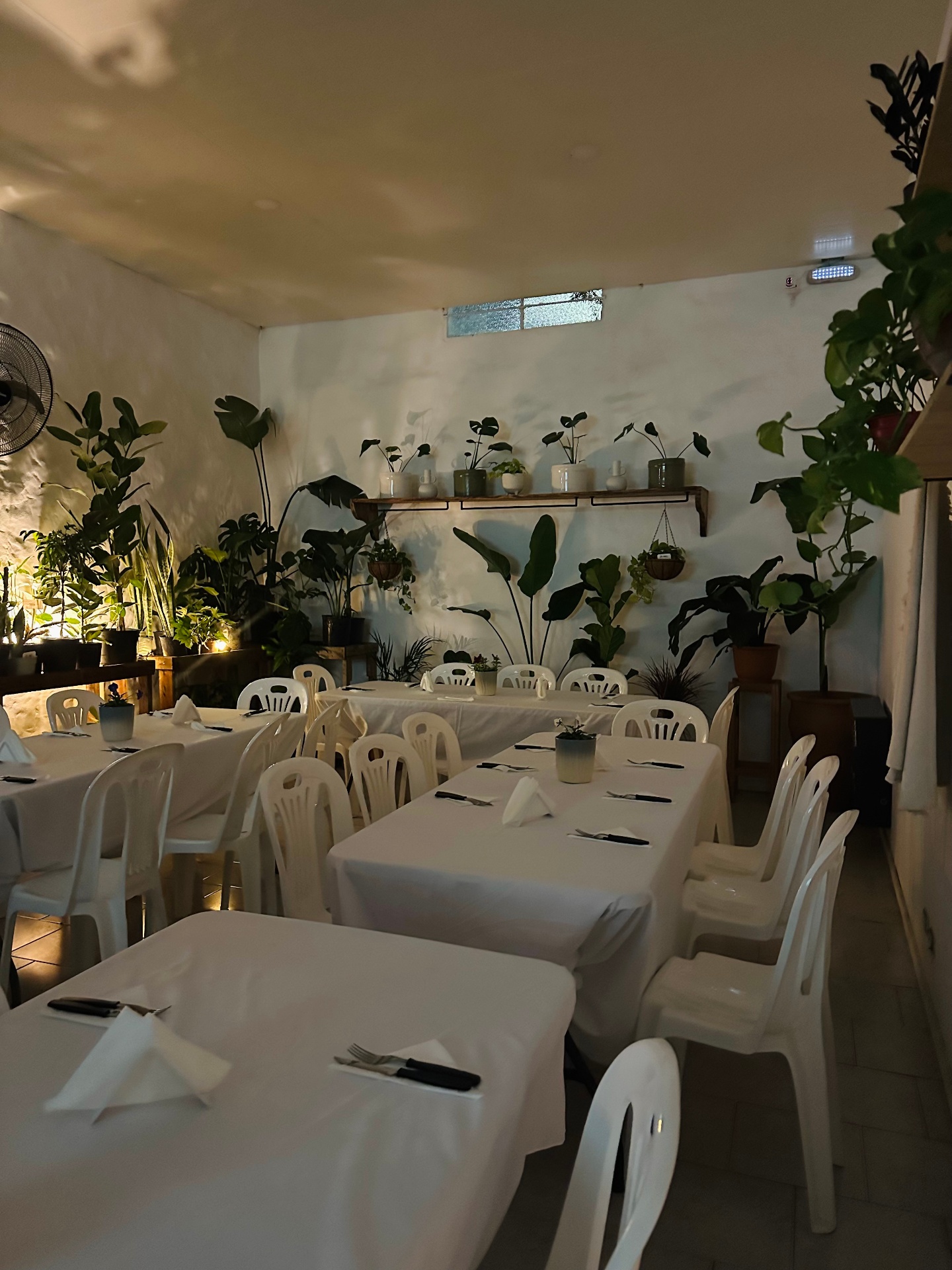 Salón íntimo de noche con mesas preparadas y plantas iluminadas en La Romería